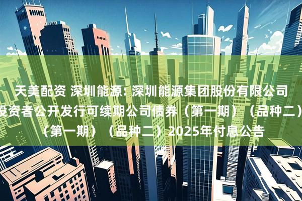 天美配资 深圳能源: 深圳能源集团股份有限公司2022年面向专业投资者公开发行可续期公司债券(第一期)(品种二)2025年付息公告