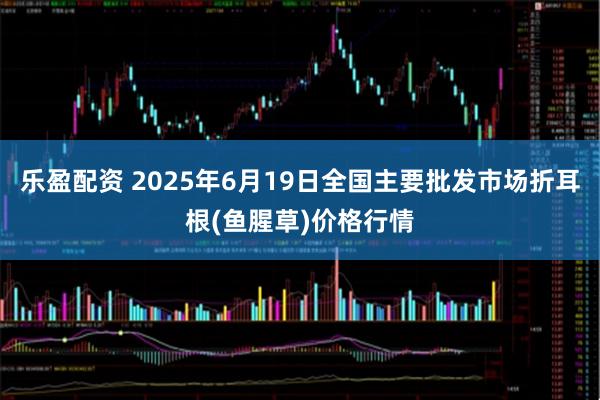 乐盈配资 2025年6月19日全国主要批发市场折耳根(鱼腥草)价格行情